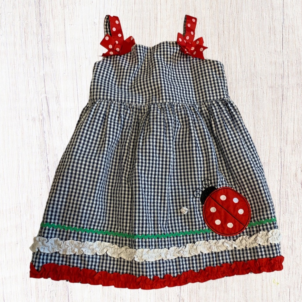 Rare Too Ladybug Dress